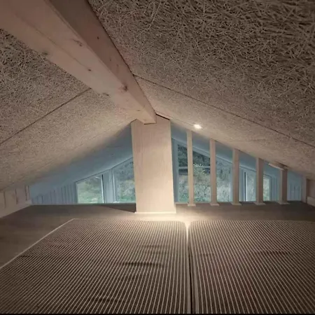 Spacious With Forest