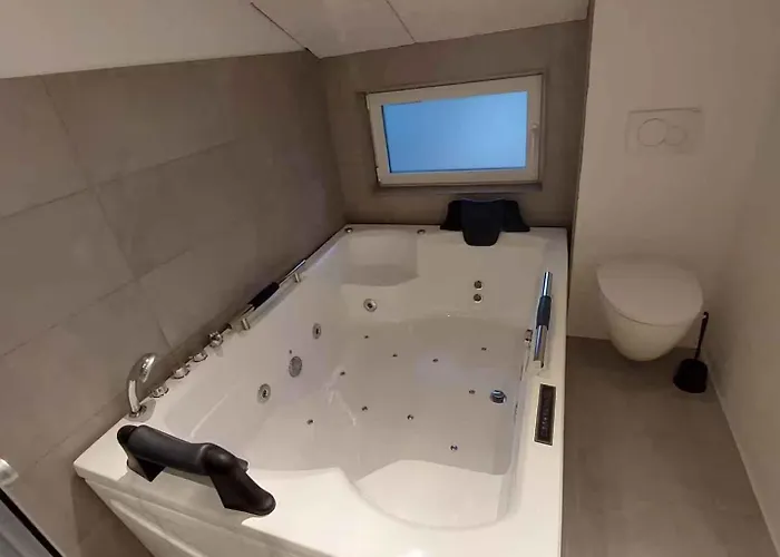 Spacious With Forest