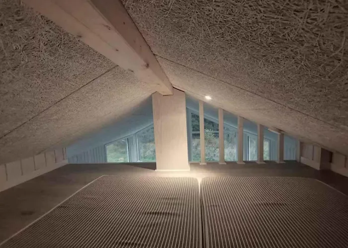 Spacious With Forest